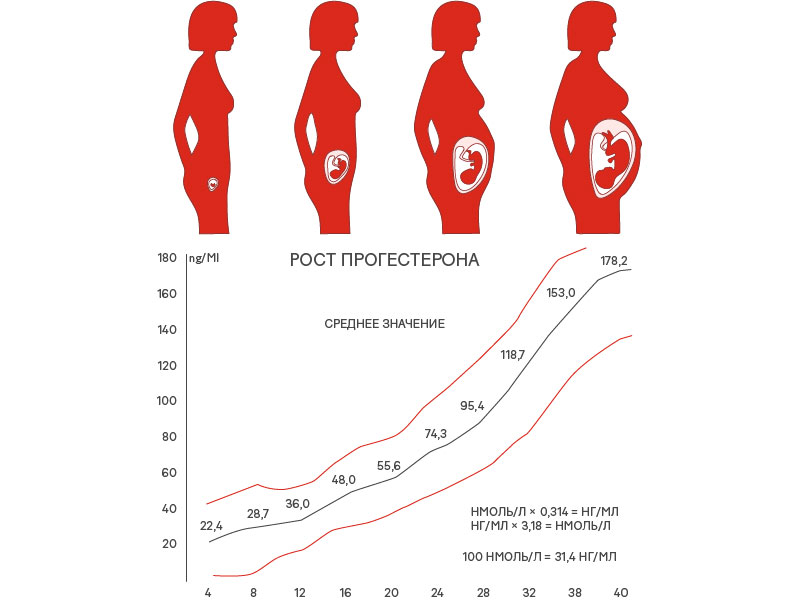 Причины отклонения уровня прогестерона во время беременности