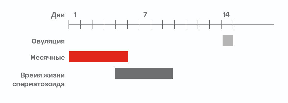 Овуляция, месячные и возможность забеременеть в критические дни при идеальном менструальном цикле