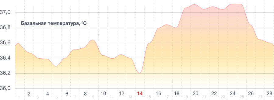 Базальная температура при овуляции
