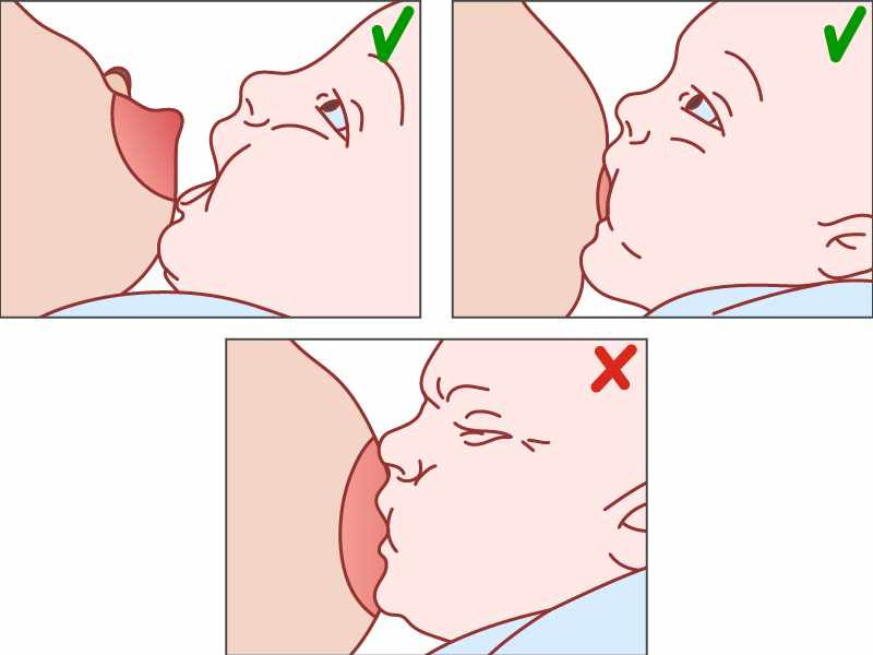 Советы мамам: как правильно приложить ребенка к груди?