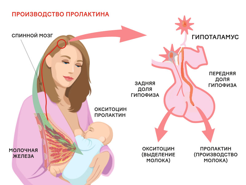 Молозиво при беременности и после родов