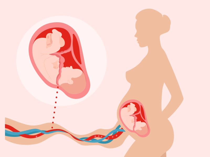 Классификация фетоплацентарной недостаточности при беременности