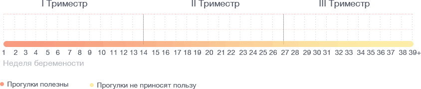 Опасность прогулок во время беременности