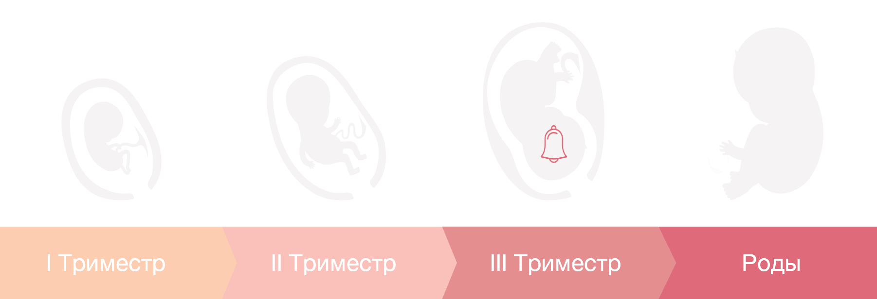 Месячные при беременности