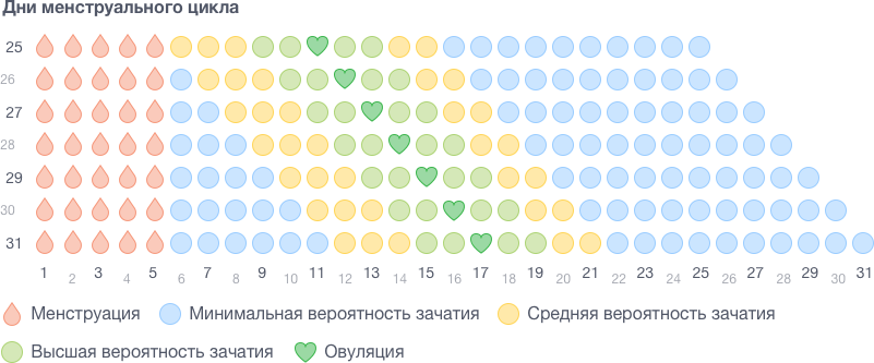 Календарный план менструального цикла