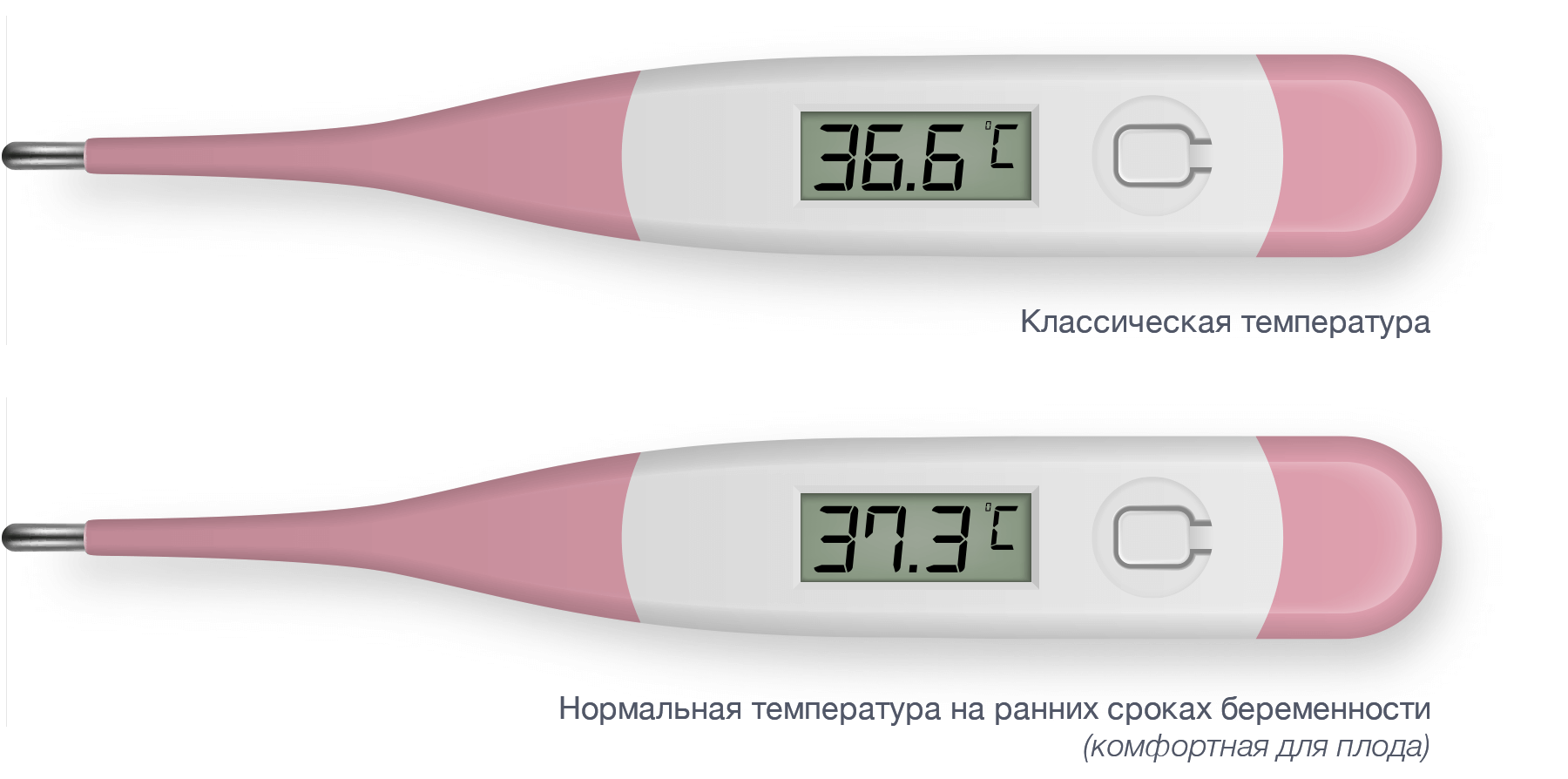 Базальная температура во время беременности