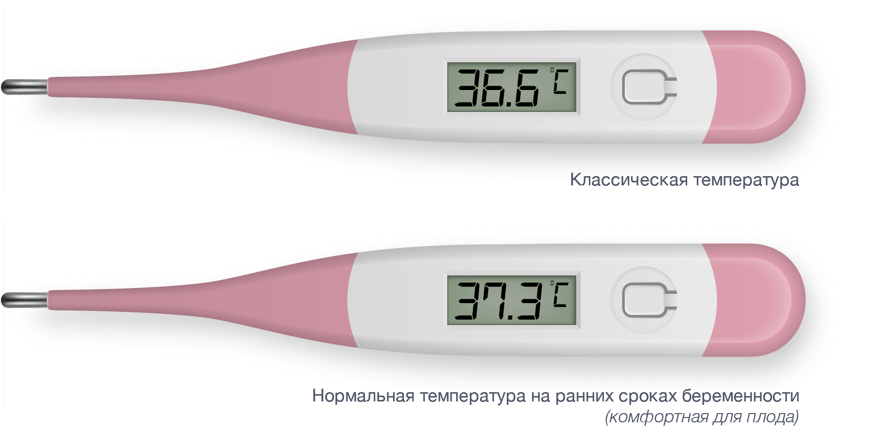 Фото Плода На Ранних Сроках Беременности